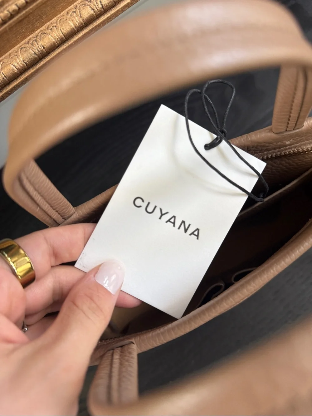 Cuyana Cappucino Mini Easy Zipper Tote